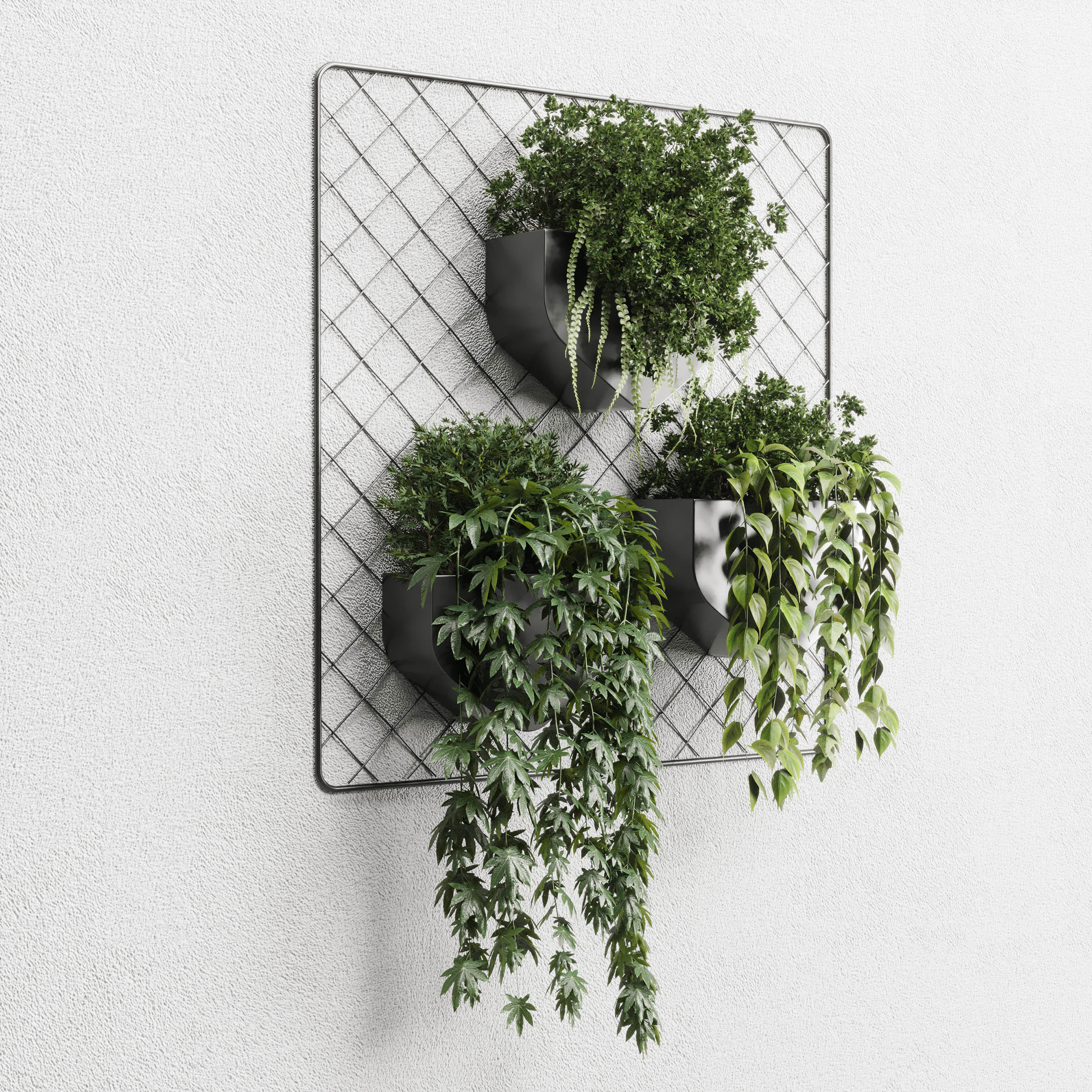 wall plant  hanging plants collection 293 3D model_3