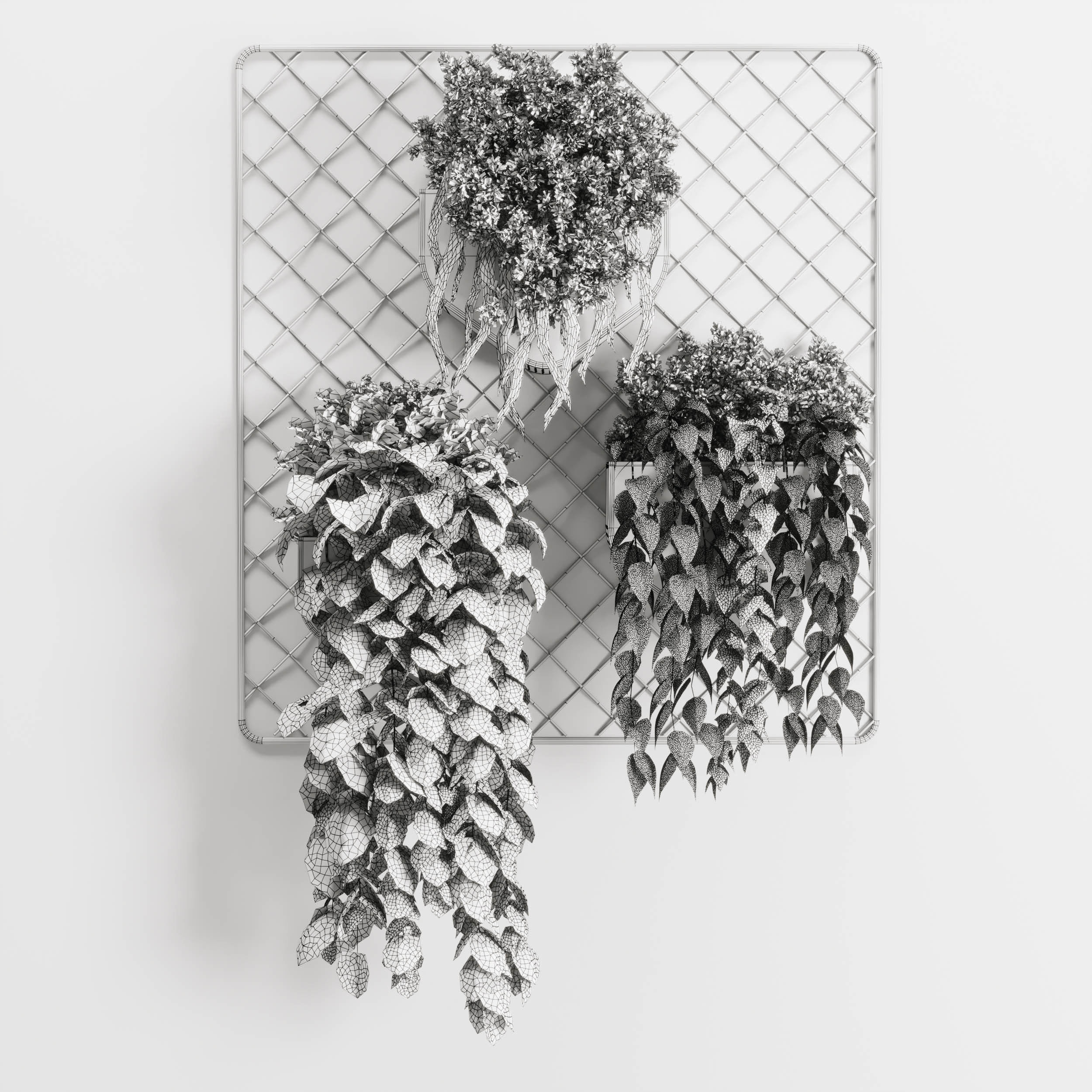 wall plant  hanging plants collection 293 3D model_5