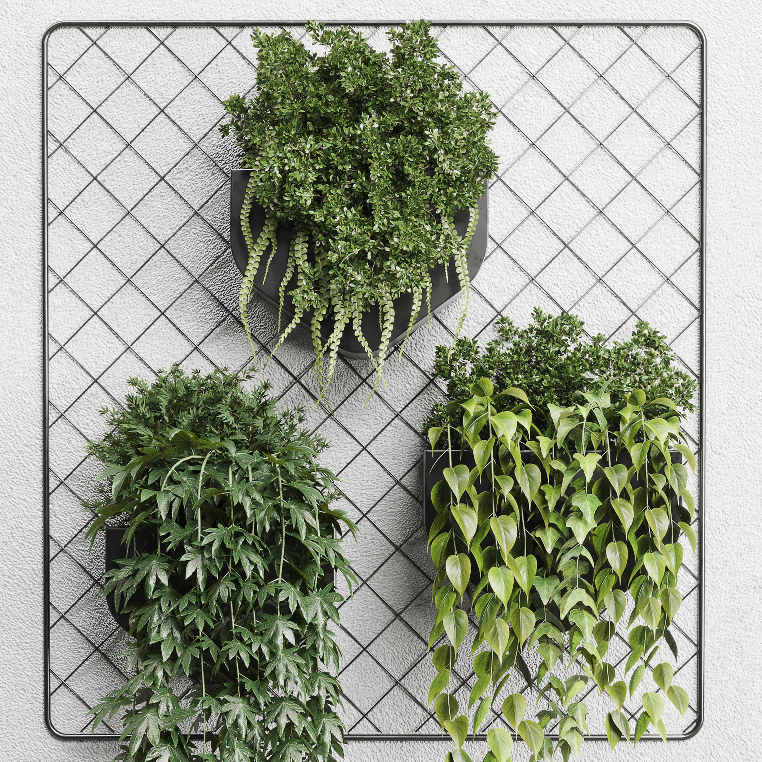 wall plant  hanging plants collection 293 3D model_4