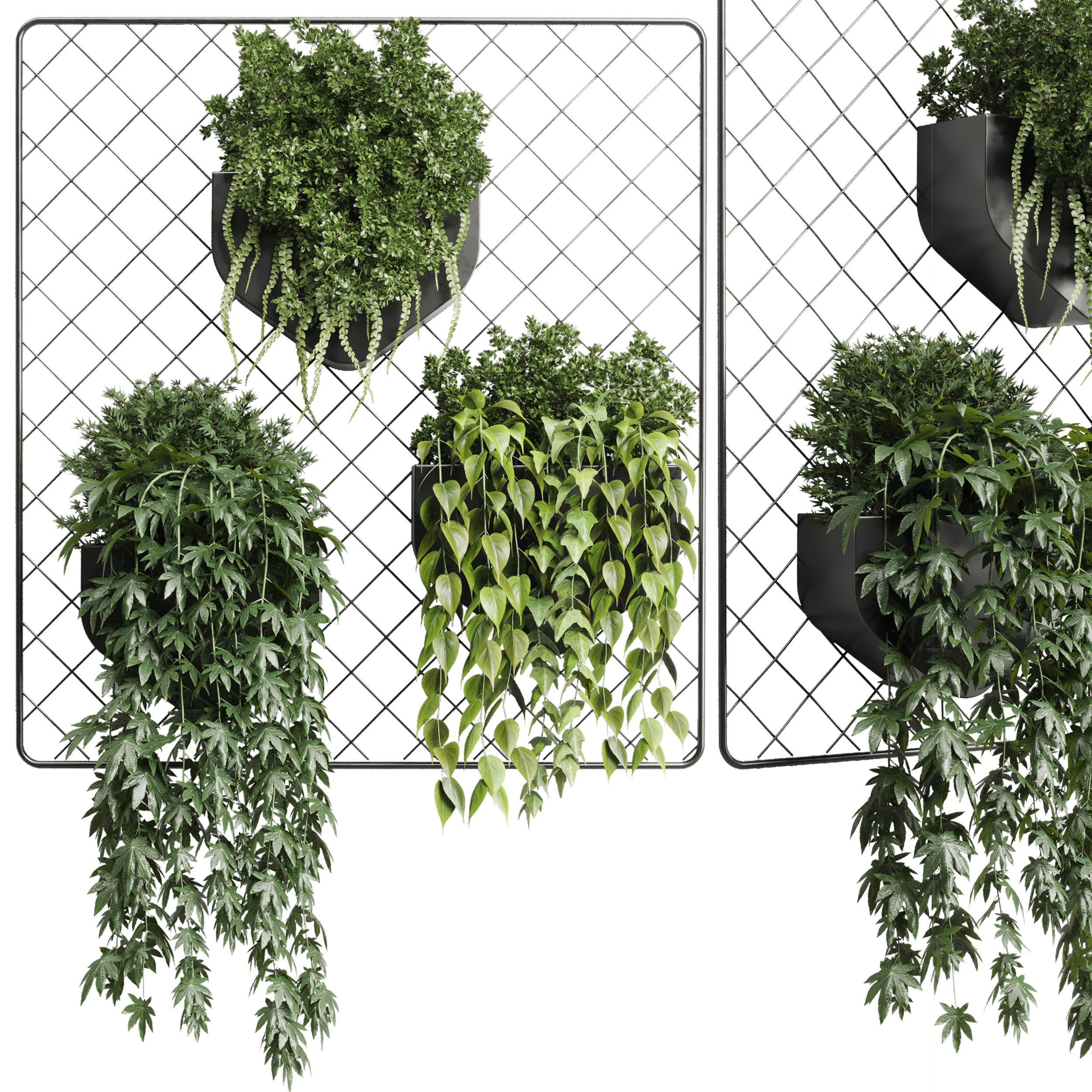 wall plant  hanging plants collection 293 3D model_1