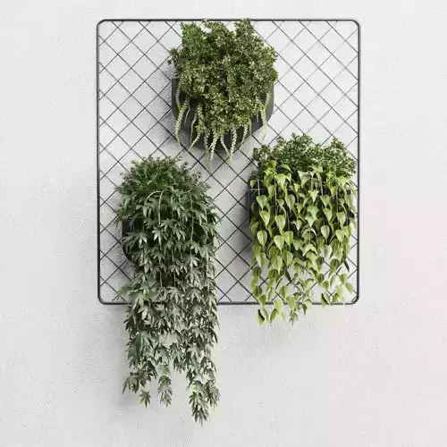 wall plant  hanging plants collection 293 3D model
