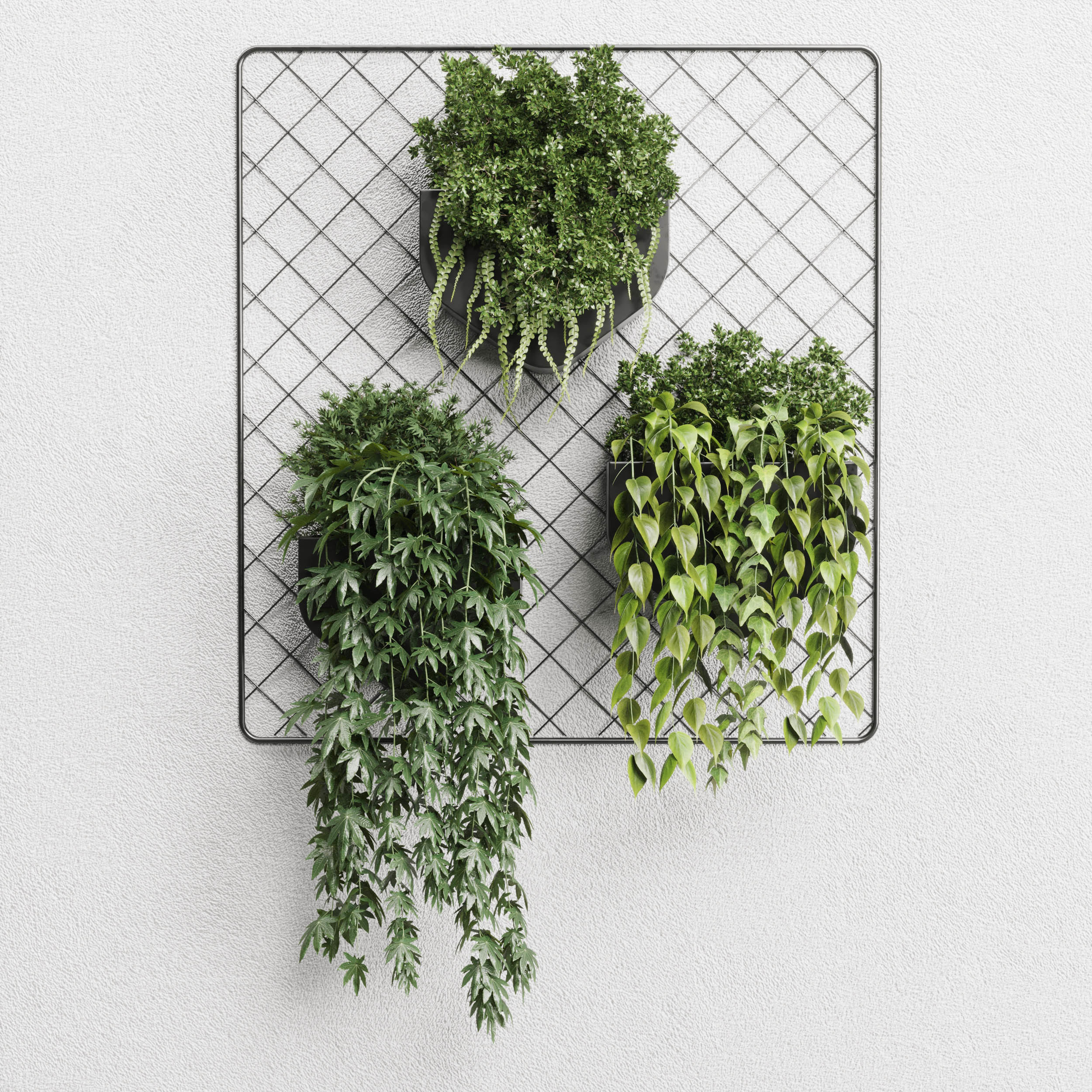 wall plant  hanging plants collection 293 3D model_2