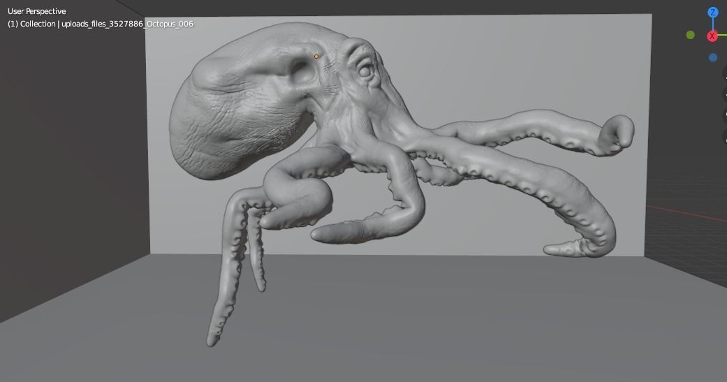 Octopus hight poly 3D model 3D model_4