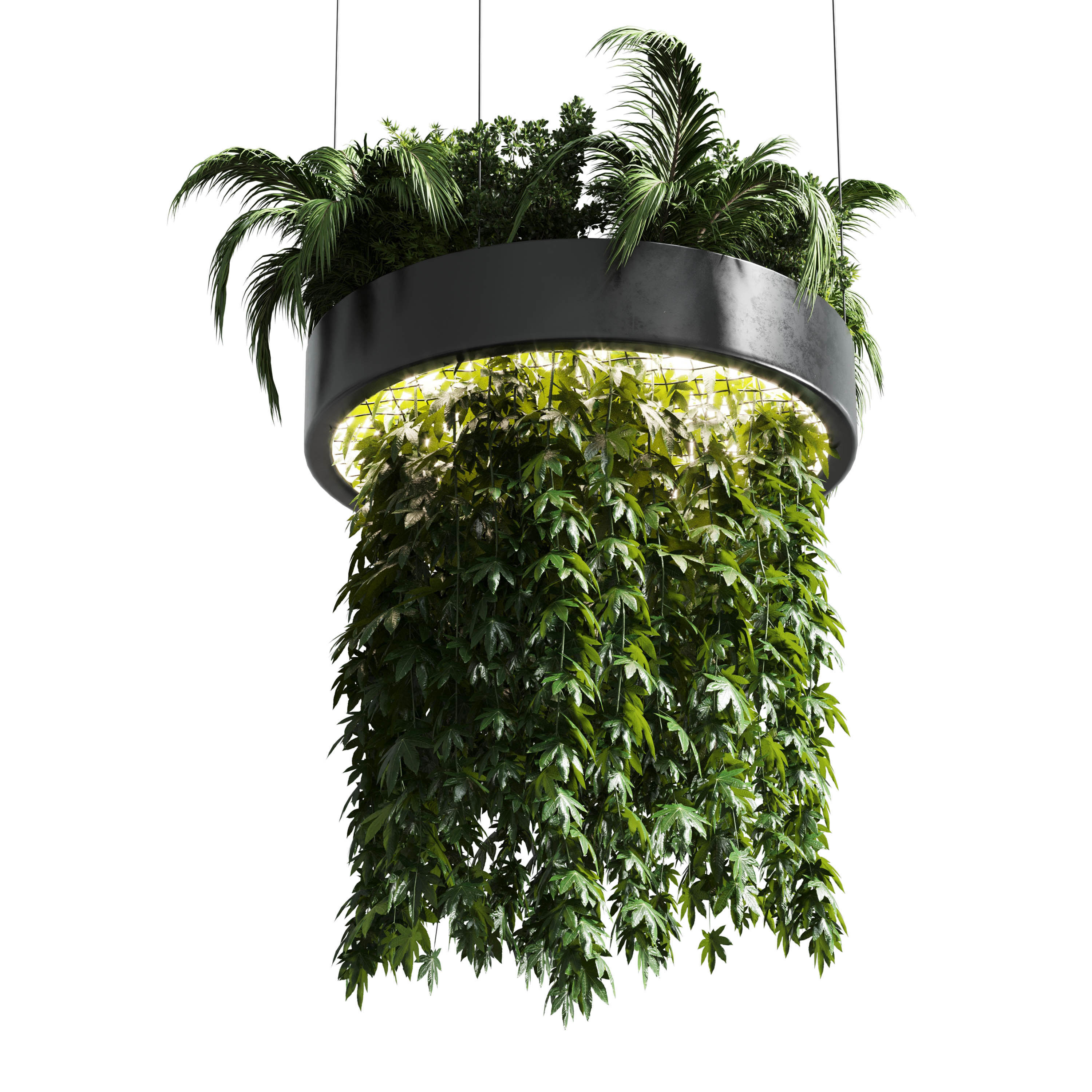 Hanging plant  indoor plant 292 3D model_3