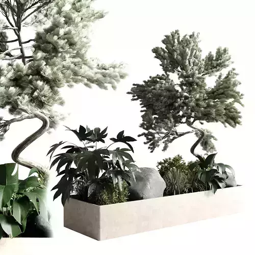 bonsai tree with plants set in the garden 290
