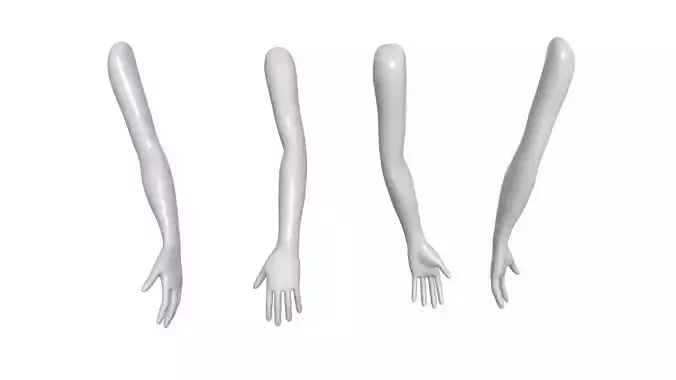 Female Arm Base sculpt mesh 3D model