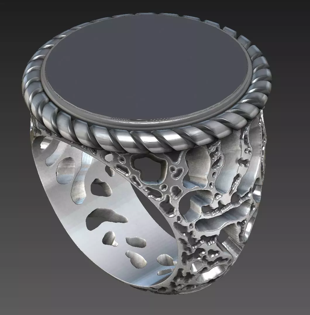 Ring of the moon 3D print model_0