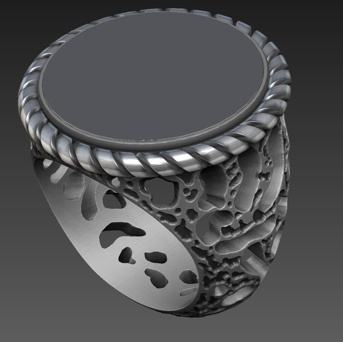 Ring of the moon 3D print model_5