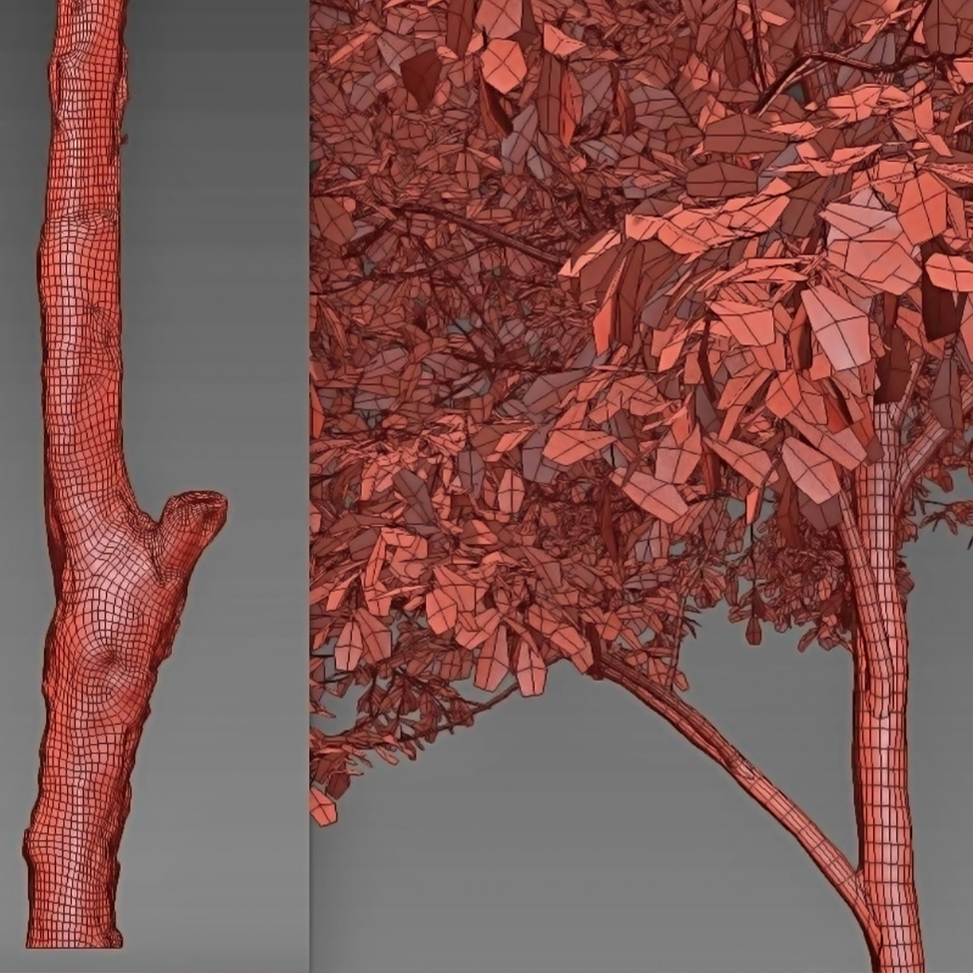 Oak tree 3D model | CGTrader