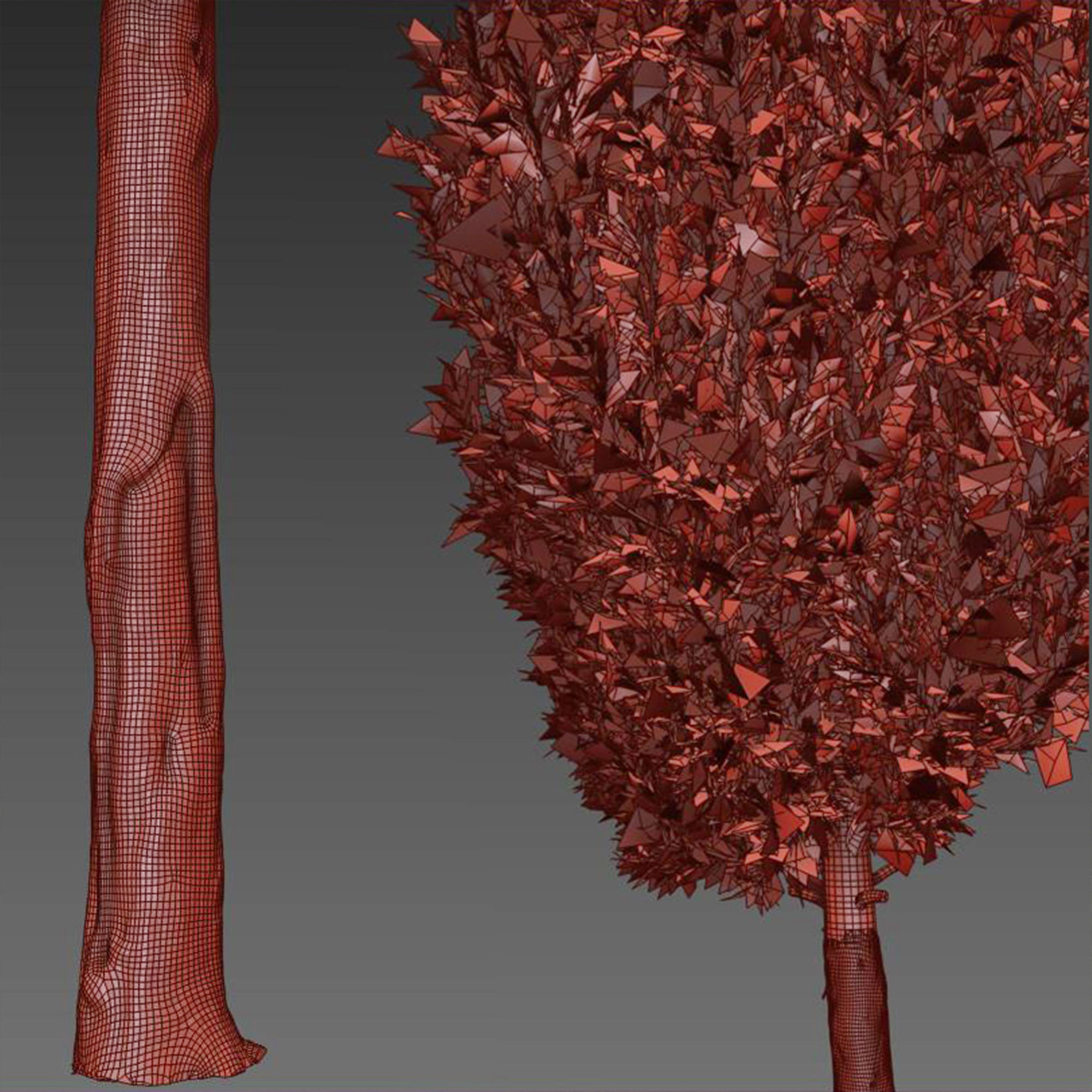 Italian cypress 2 3D model_5