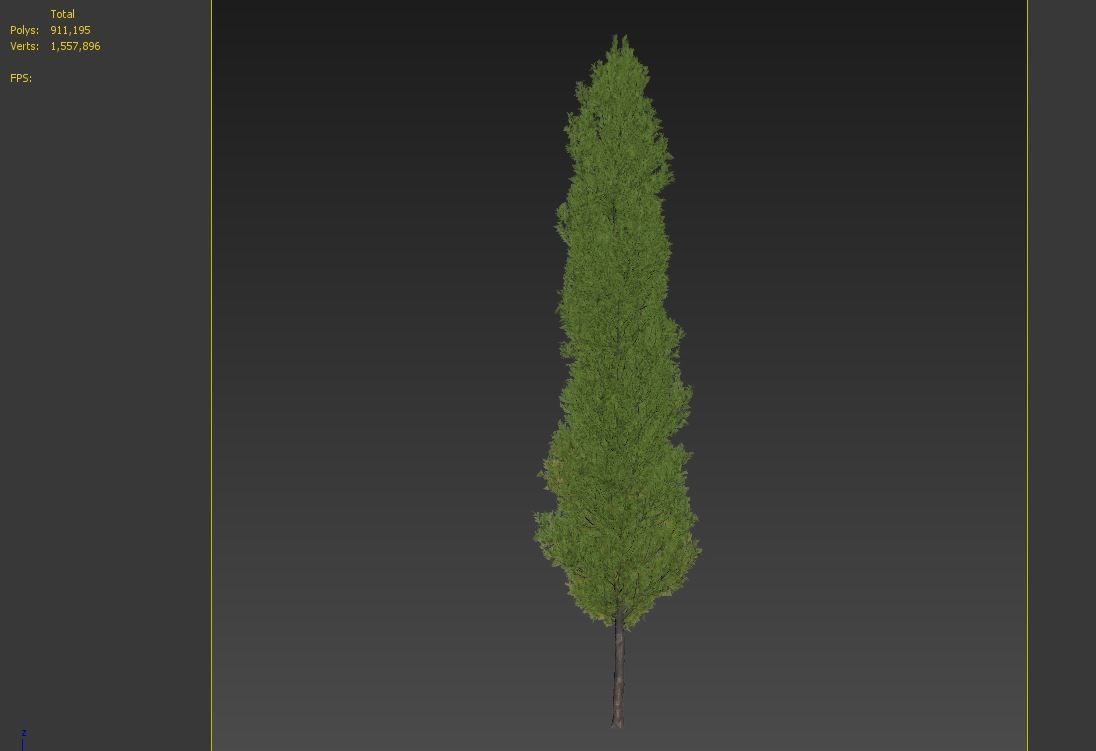 Italian cypress 2 3D model_6