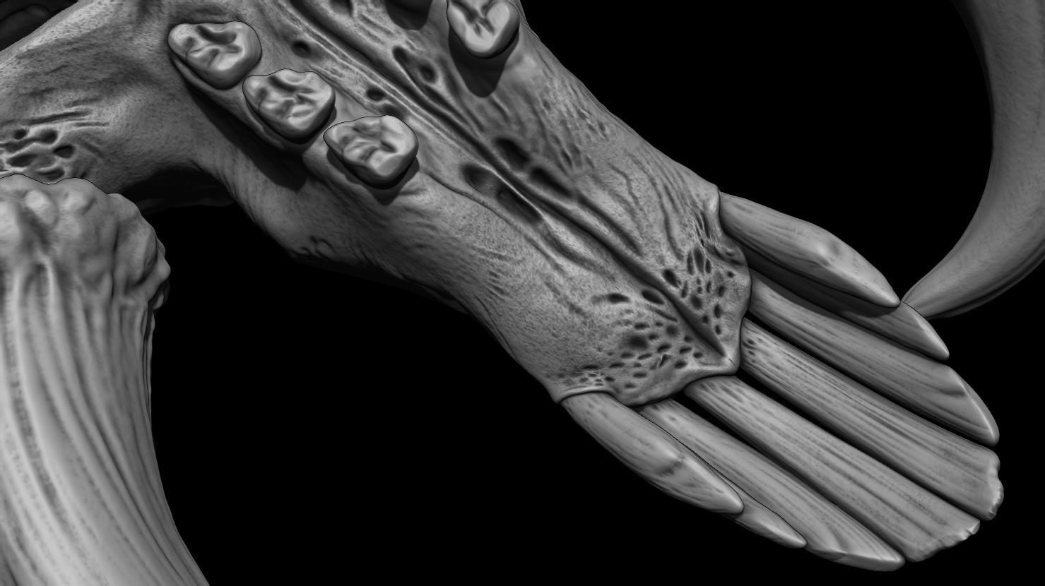 3D PRINTABLE MYTHOSAUR SKULL - THE MANDALORIAN STAR WARS 3D print model_7