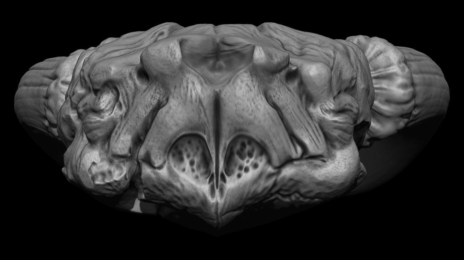 3D PRINTABLE MYTHOSAUR SKULL - THE MANDALORIAN STAR WARS 3D print model_12