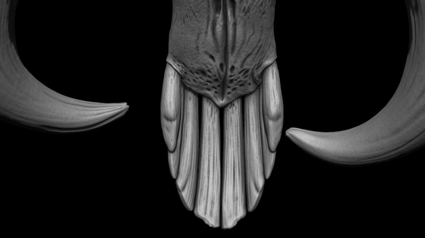 3D PRINTABLE MYTHOSAUR SKULL - THE MANDALORIAN STAR WARS 3D print model_20