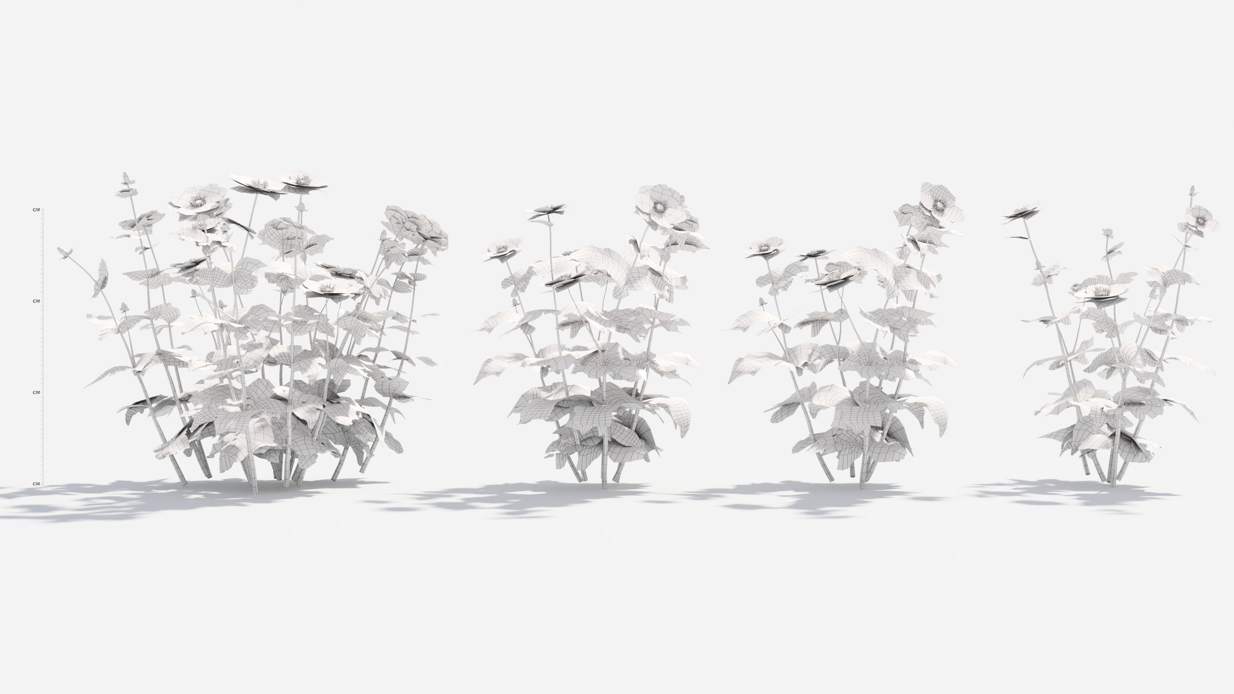 Anemone hibiscus flower 3D model_9