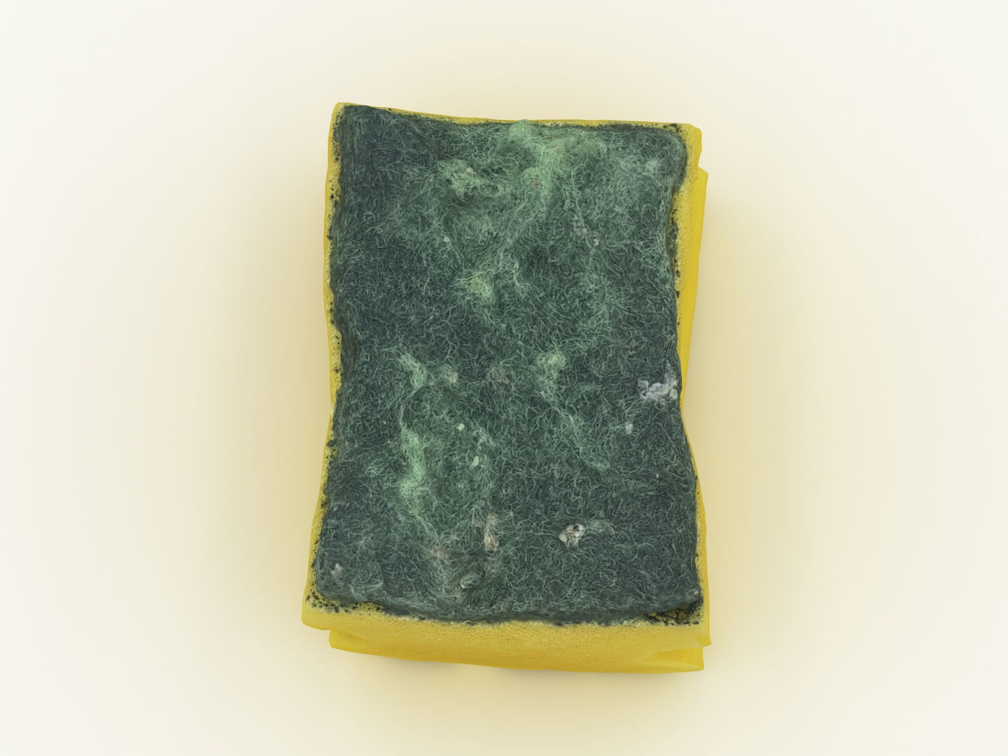 Used Sponge Scourer 3D model_8