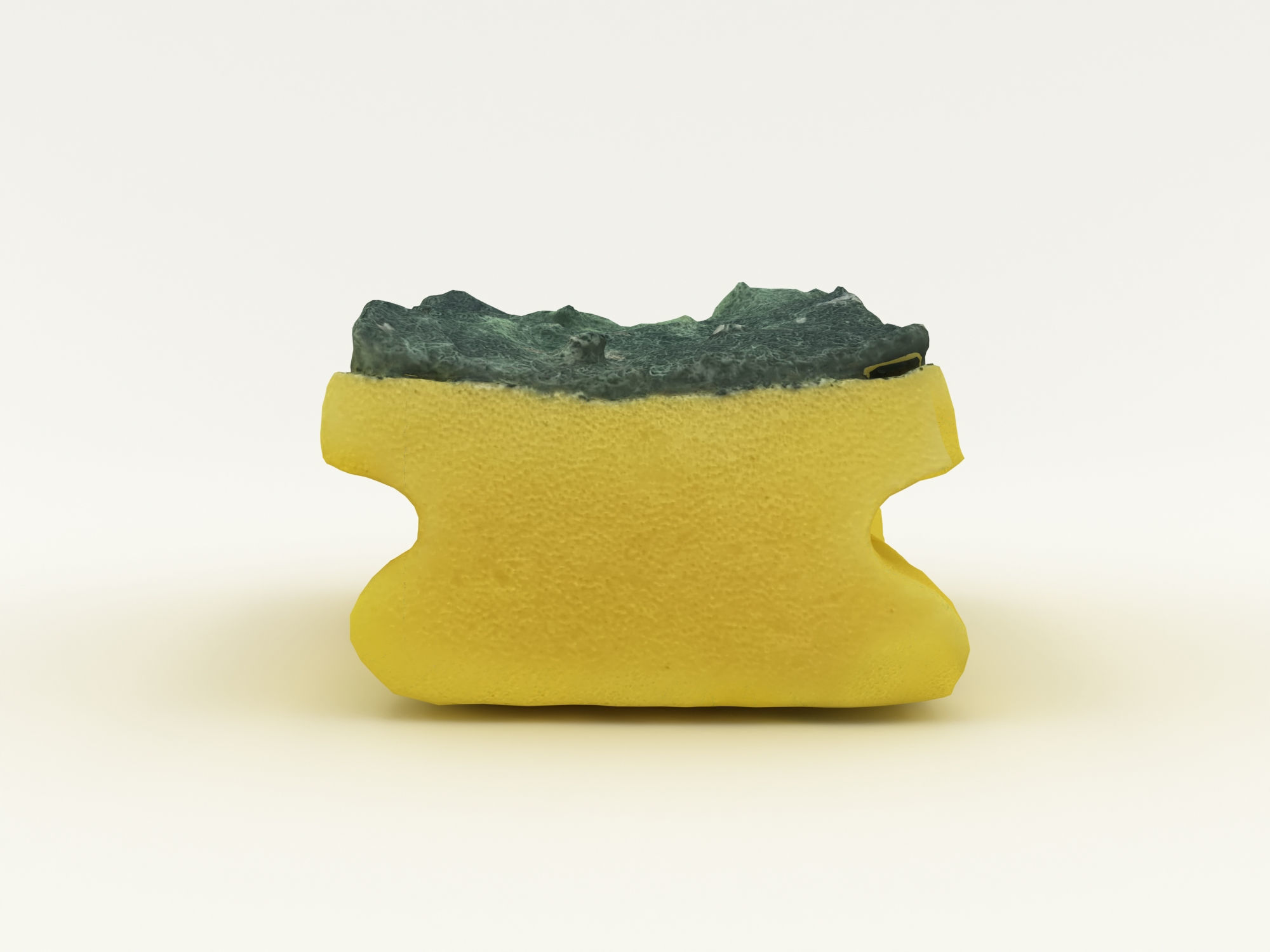 Used Sponge Scourer 3D model_6