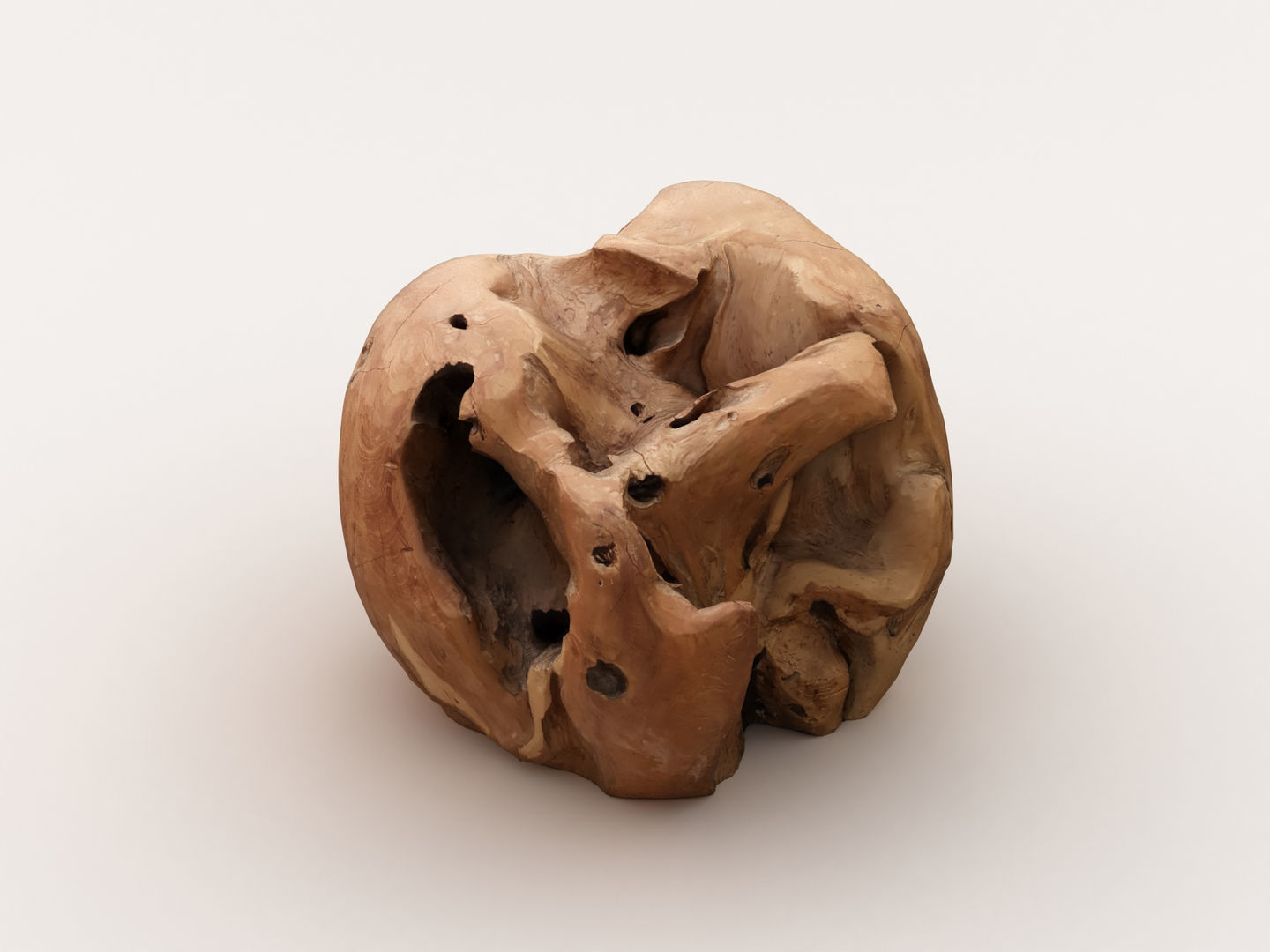 Driftwood walnut 3D model_1