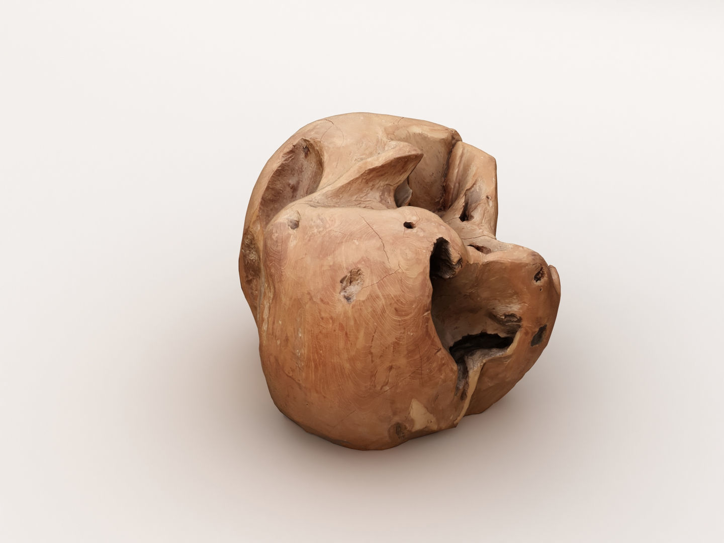 Driftwood walnut 3D model_2