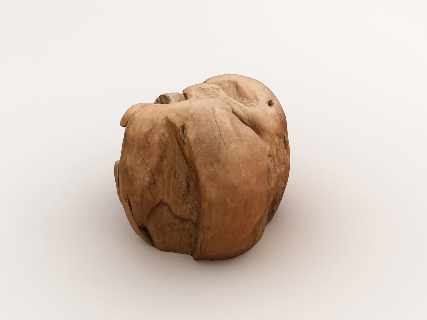 Driftwood walnut 3D model_4