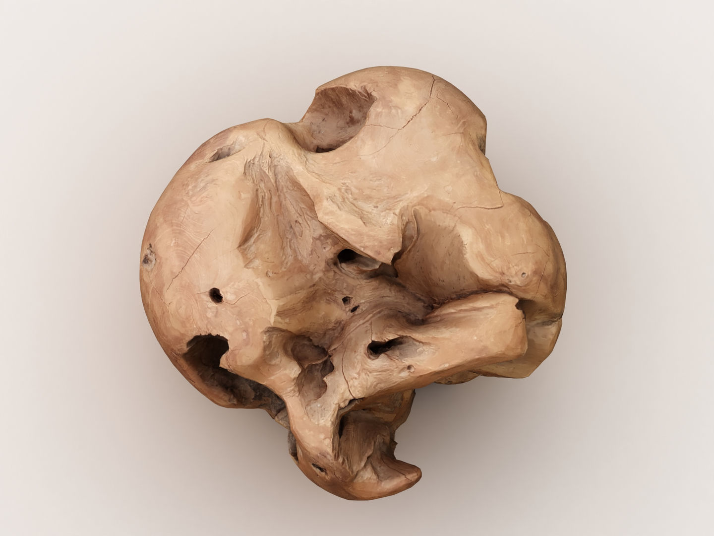 Driftwood walnut 3D model_8