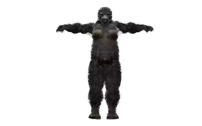 Gorilla Avatar