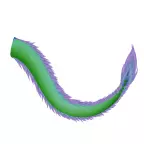 Tail Imaginary 3D model_0