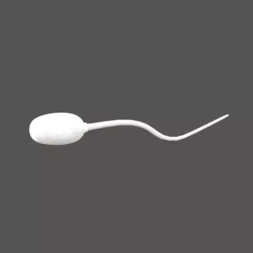 Sperm v1 001