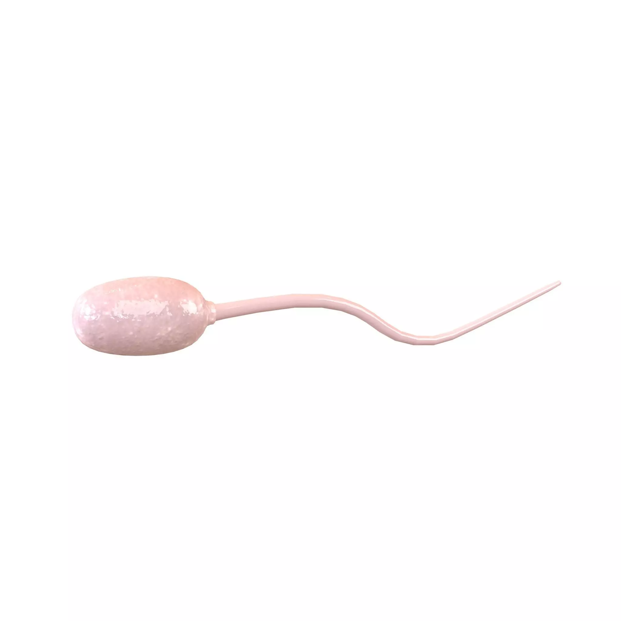 Sperm v1 002 Low-poly 3D model_0