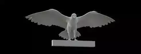 Burung Elang 3D model