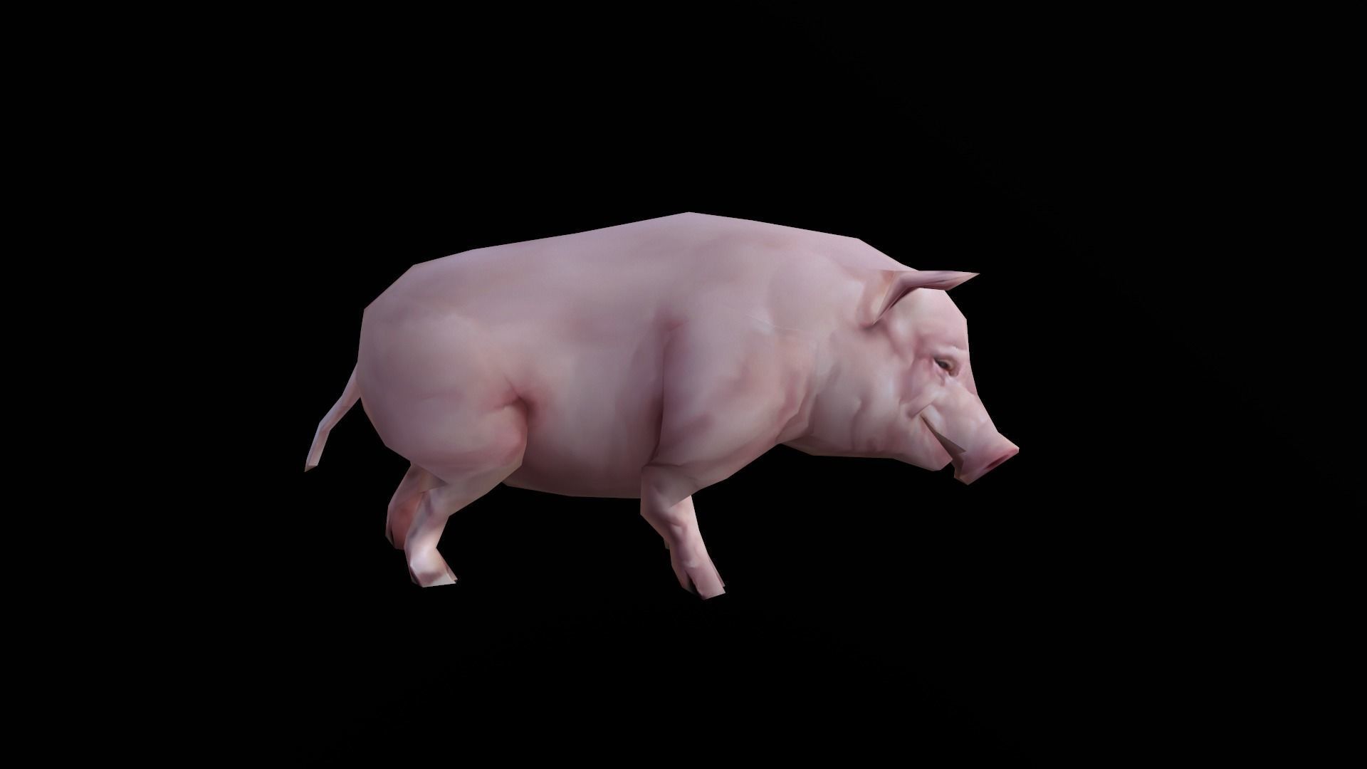 low-poly animated pig Low-poly 3D model_5