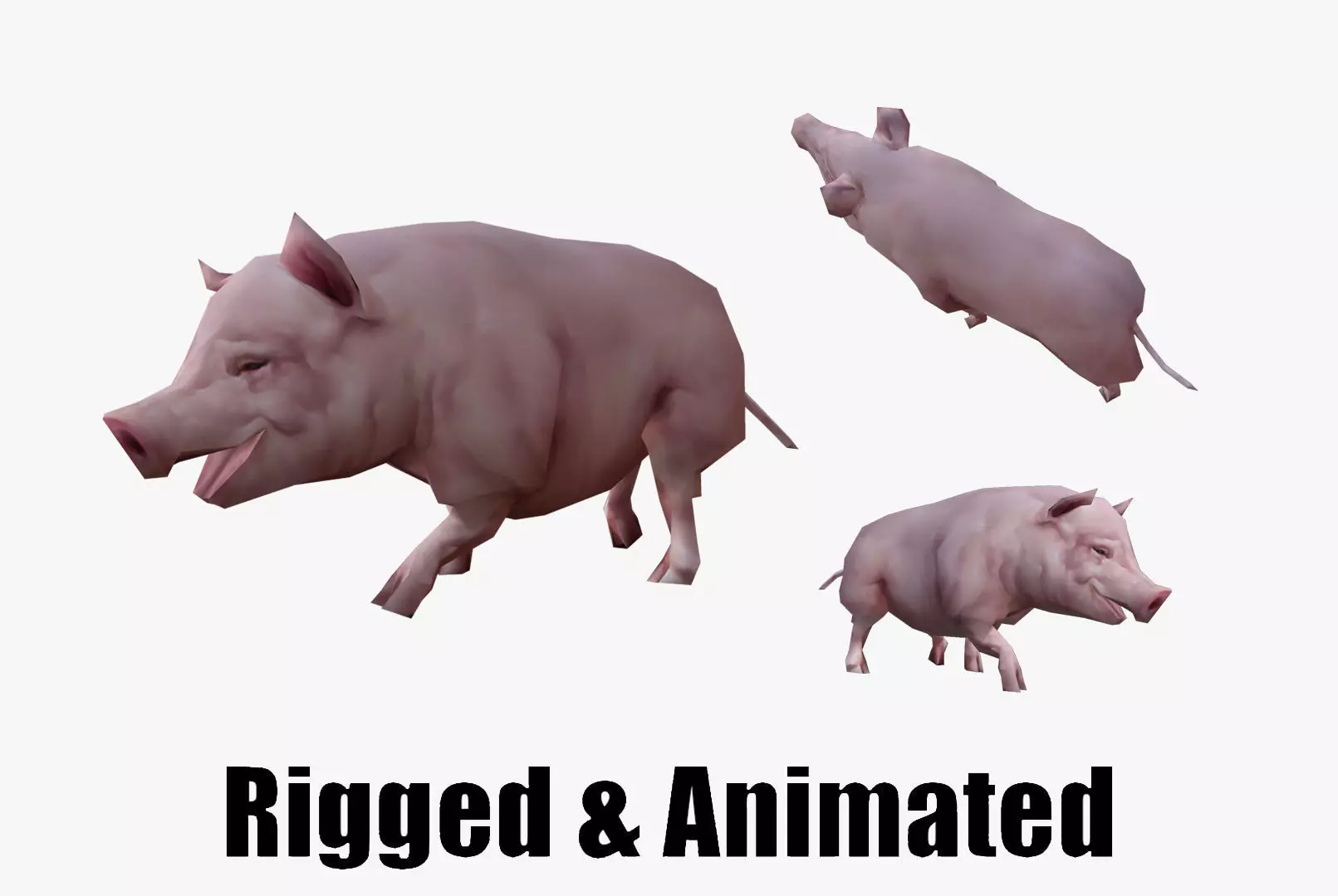 low-poly animated pig Low-poly 3D model_0