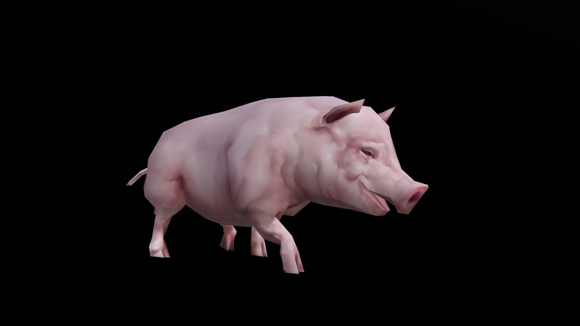 low-poly animated pig Low-poly 3D model_7