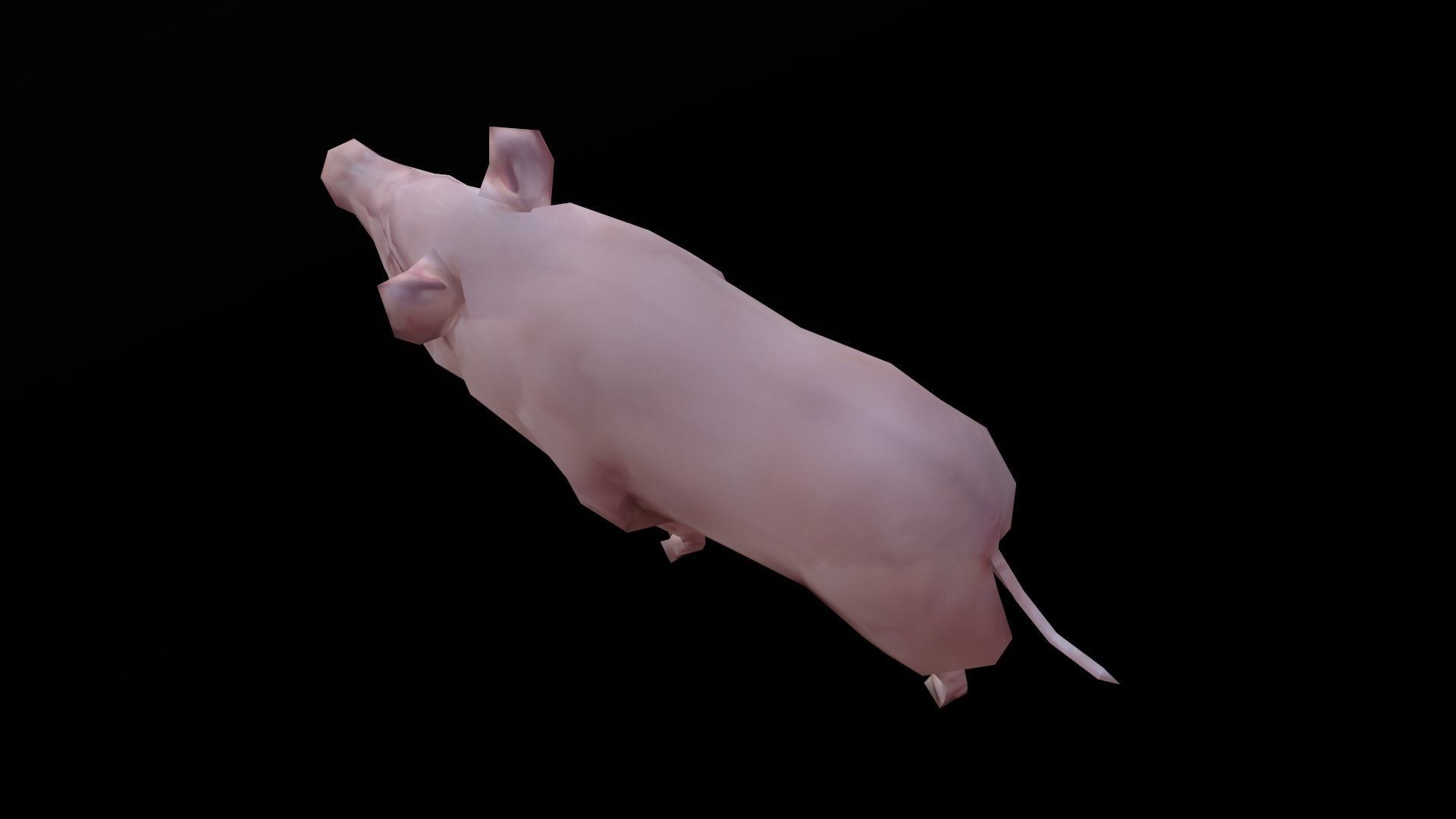 low-poly animated pig Low-poly 3D model_6