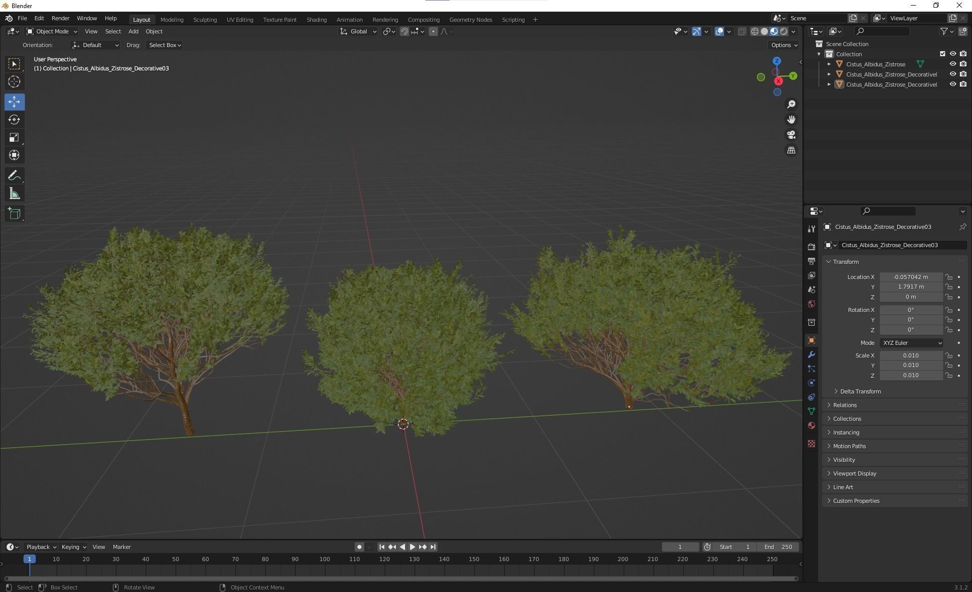 New Plant Cistus Albidus Zistrose 3D model_5