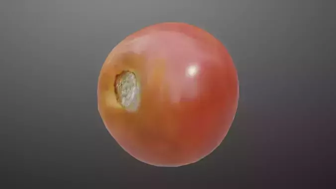 Tomato