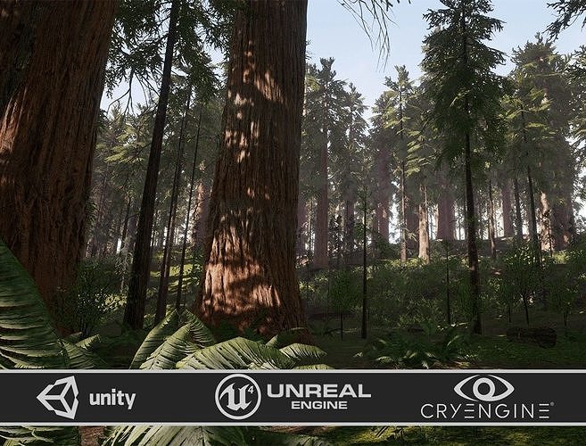 Redwood forest for game ready Low-poly 3D model