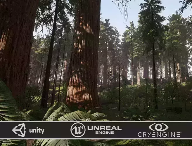 Redwood forest for game ready Low-poly 3D model