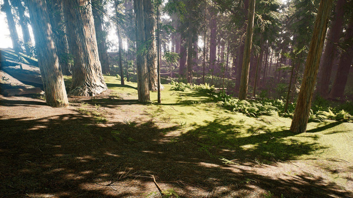 Redwood forest for game ready Low-poly 3D model_7