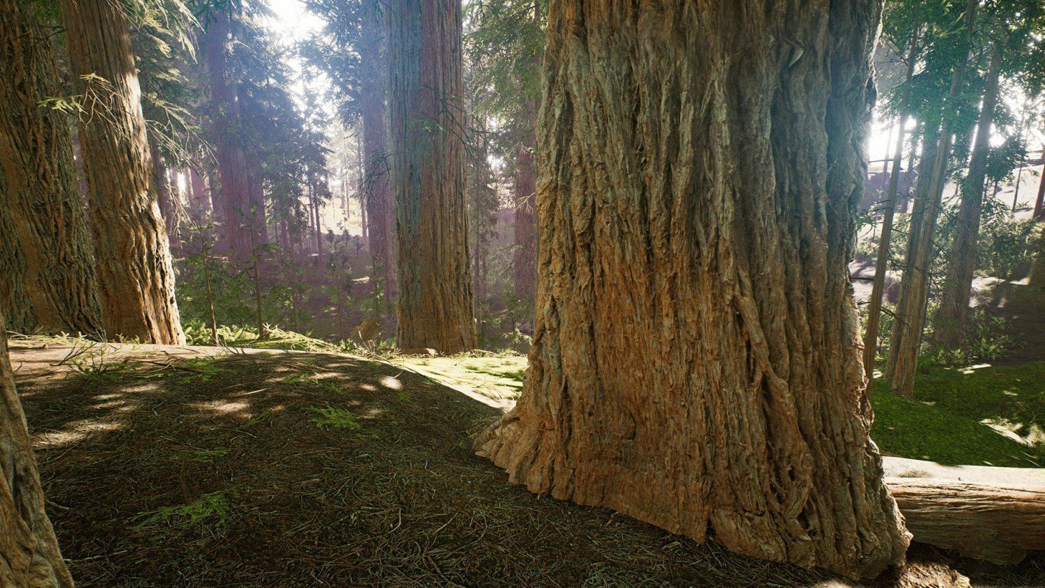 Redwood forest for game ready Low-poly 3D model_1
