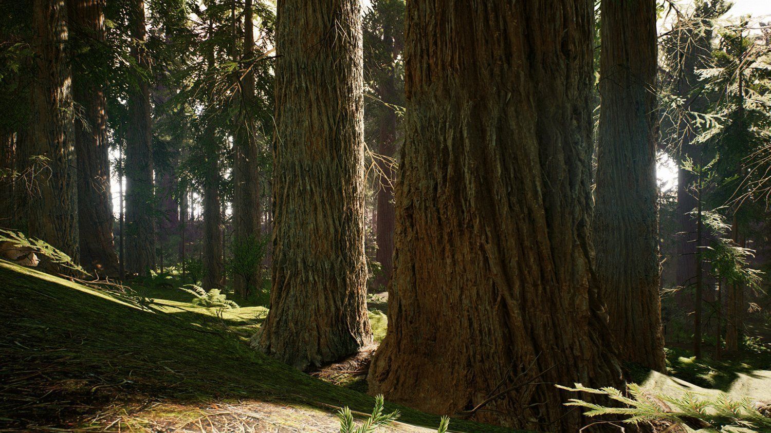 Redwood forest for game ready Low-poly 3D model_3