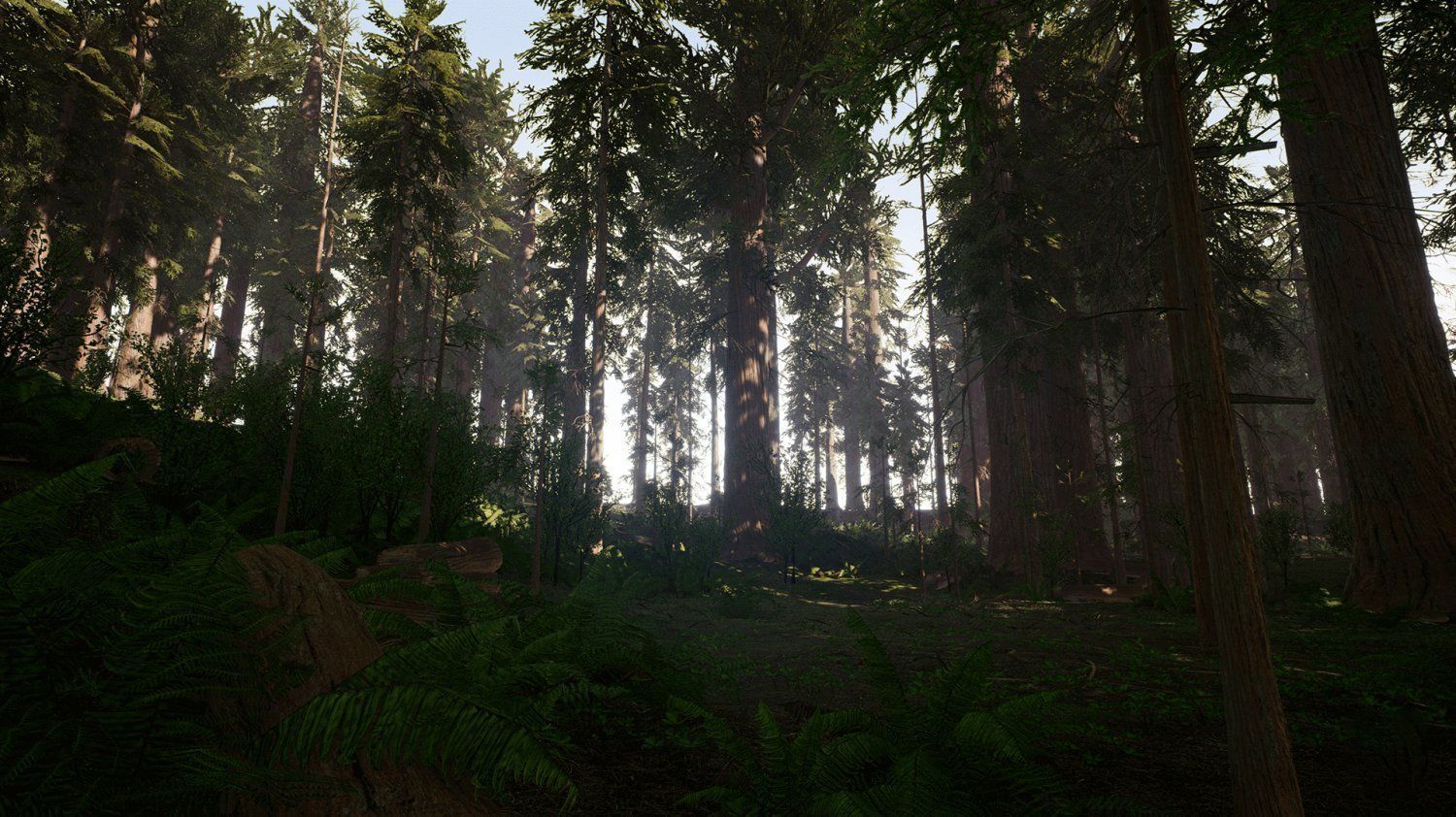 Redwood forest for game ready Low-poly 3D model_6