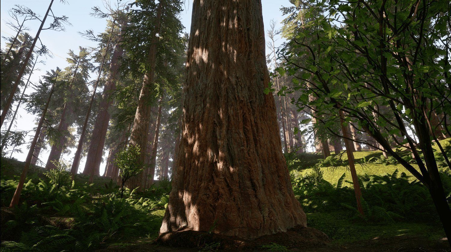 Redwood forest for game ready Low-poly 3D model_9