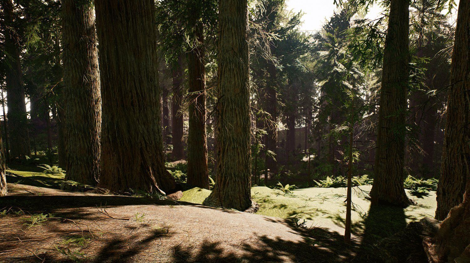 Redwood forest for game ready Low-poly 3D model_4