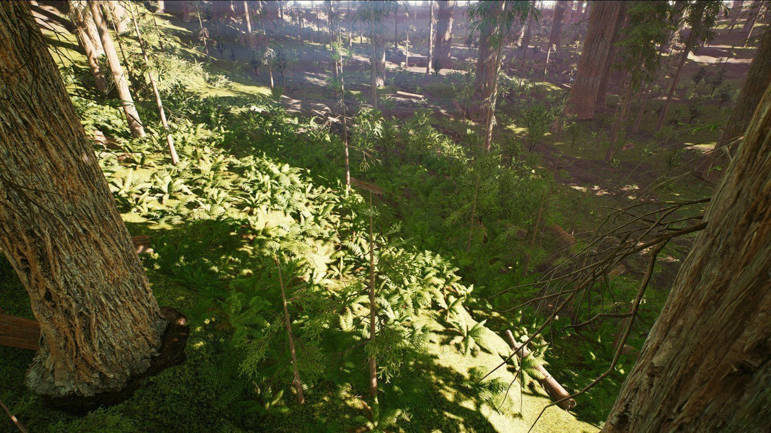 Redwood forest for game ready Low-poly 3D model_8