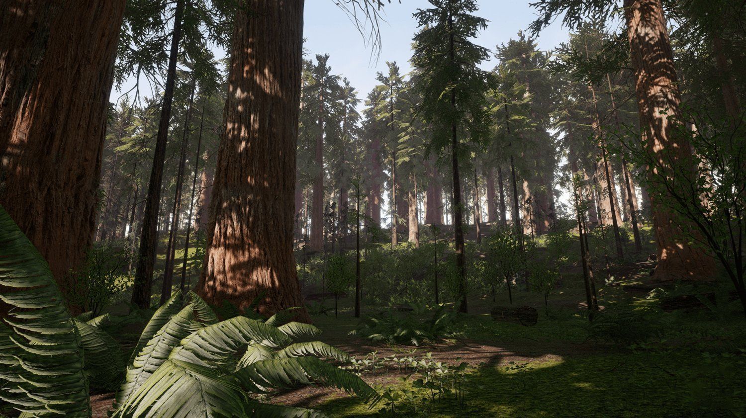 Redwood forest for game ready Low-poly 3D model_2