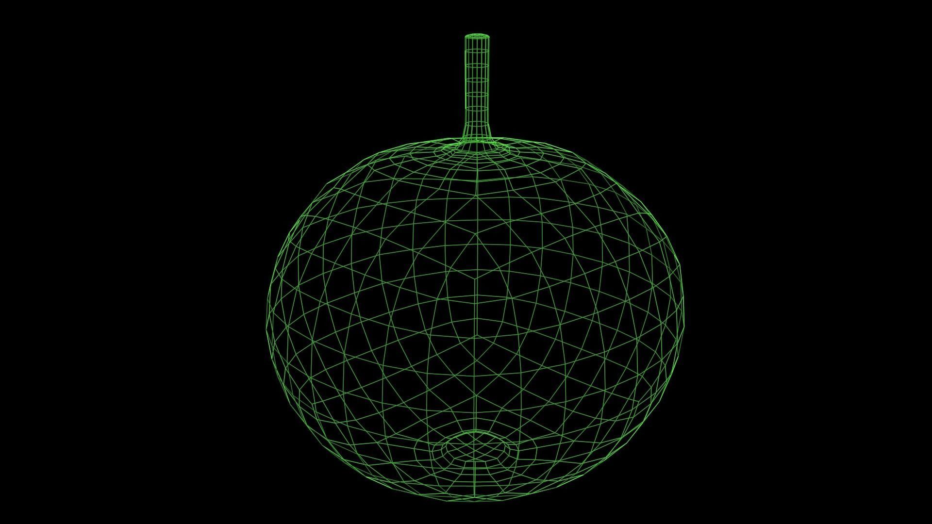 Squash Low-poly 3D model_5