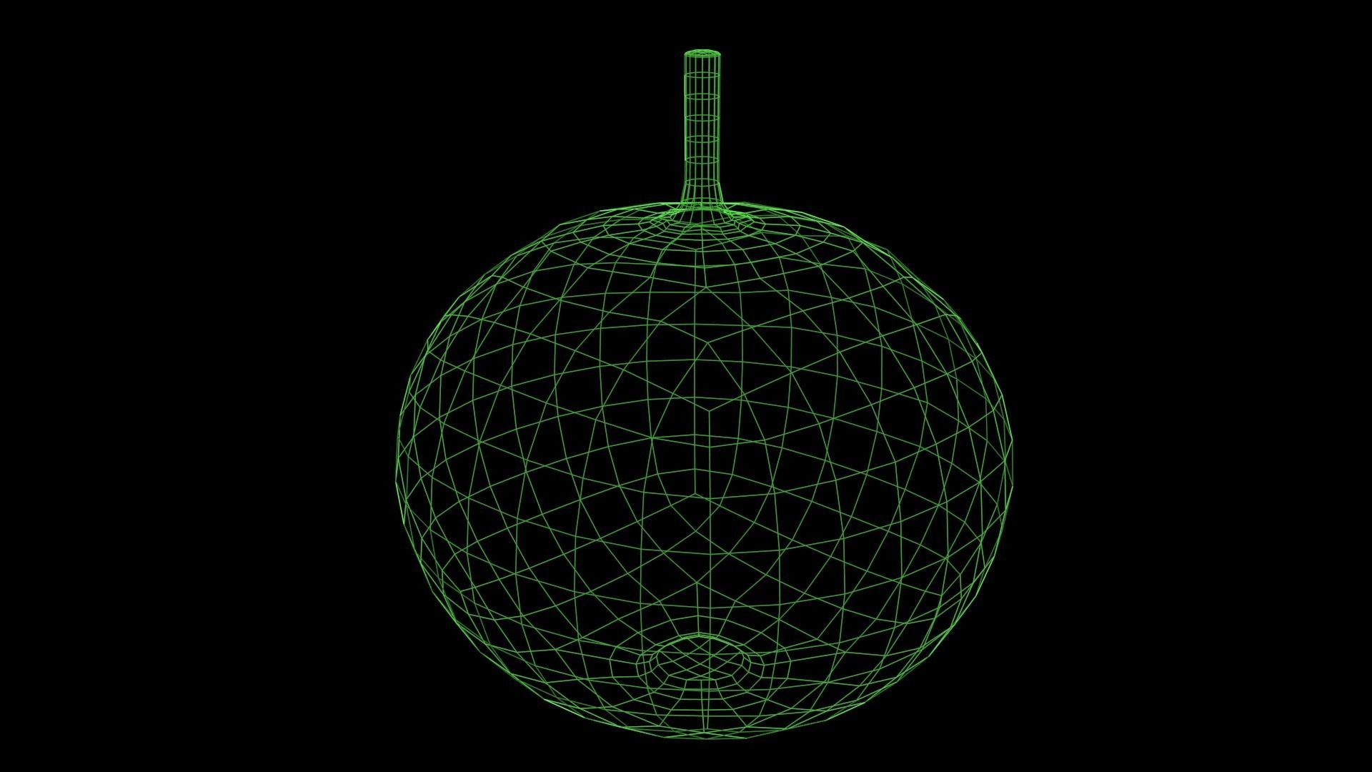 Squash Low-poly 3D model_4