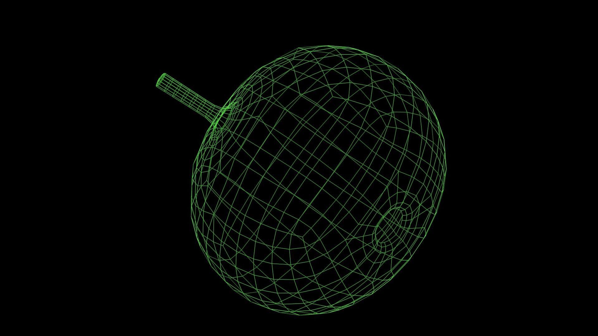 Squash Low-poly 3D model_7