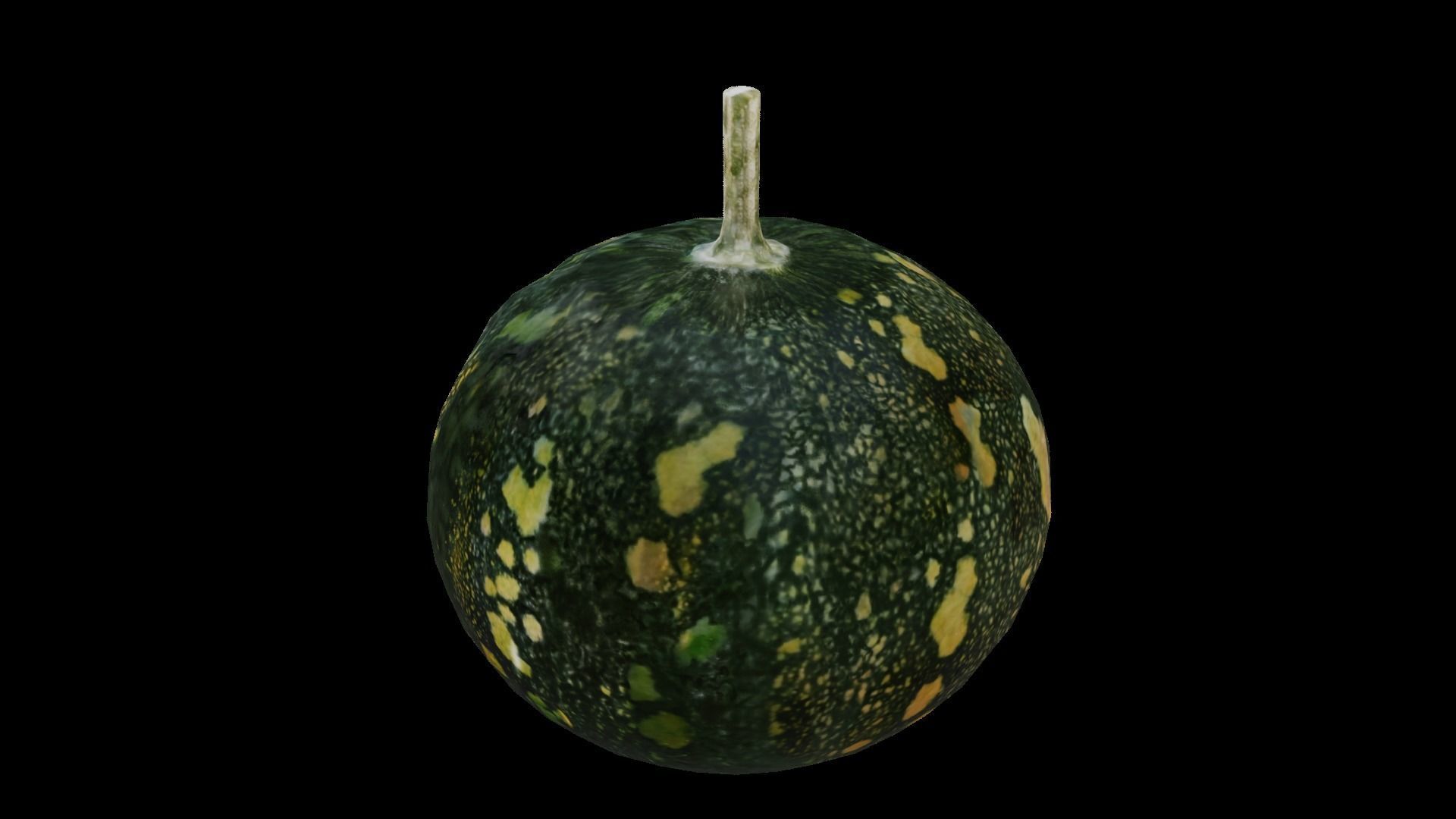 Squash Low-poly 3D model_9